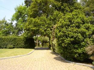 View to Entrance