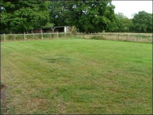 Paddock with shelter