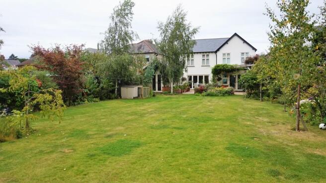 Garden 2