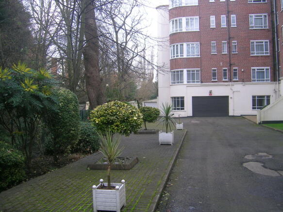 Photo 8