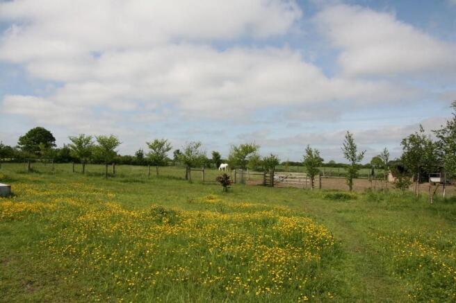 Photo 25