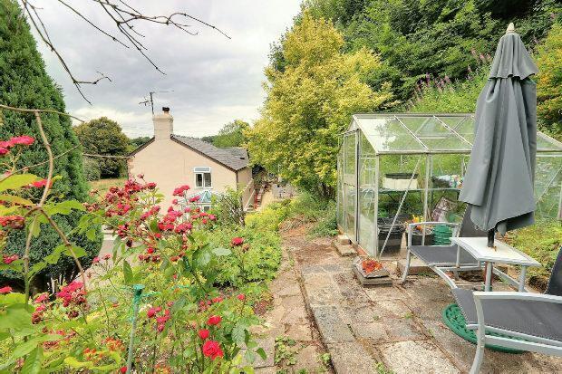 Greenhouse