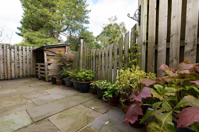 Rear Yard
