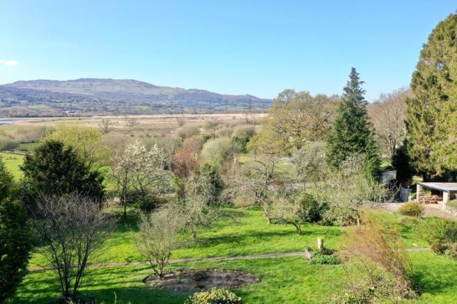 PHOTO-2025-04-07-23-35-58 (4).jpg