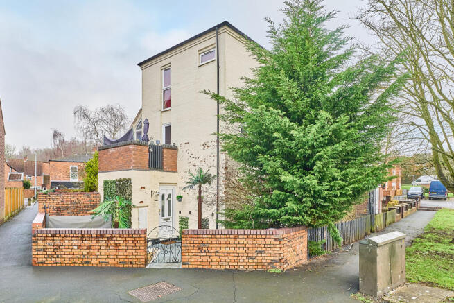 P1634781 T202601161646.jpg