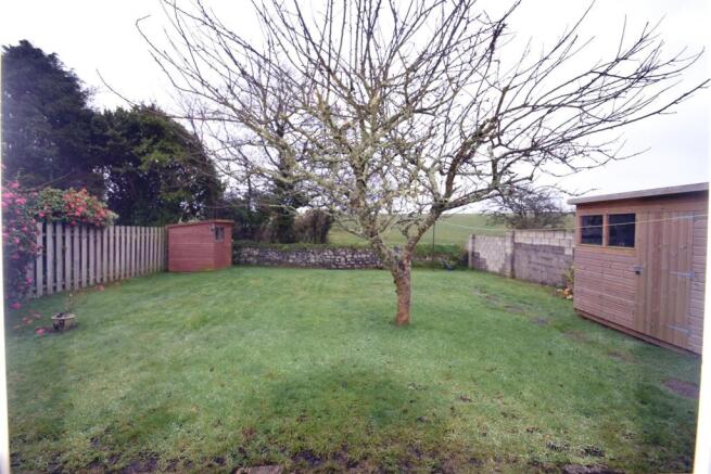 garden.JPG