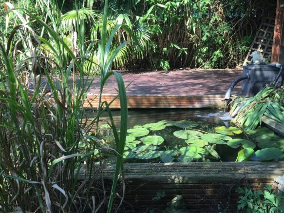 Pond