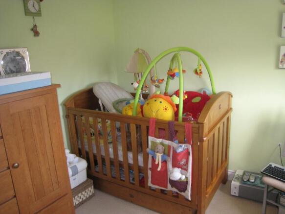 Image 7