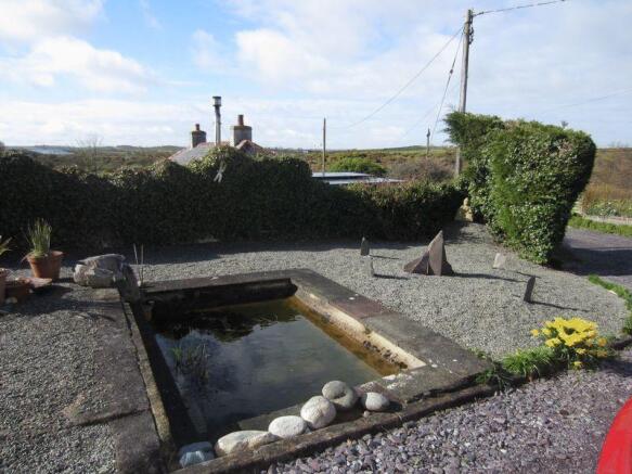 Pond and Views
