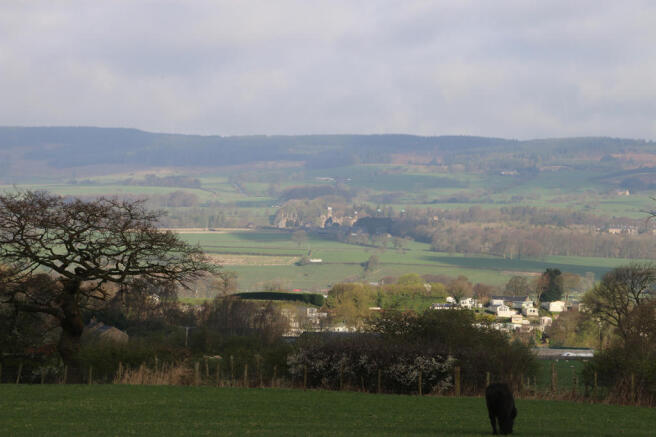 Extra image 15