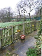 Photo 24