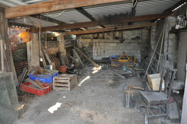 Photo 19
