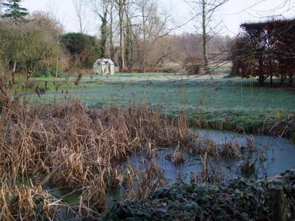 wildlife pond