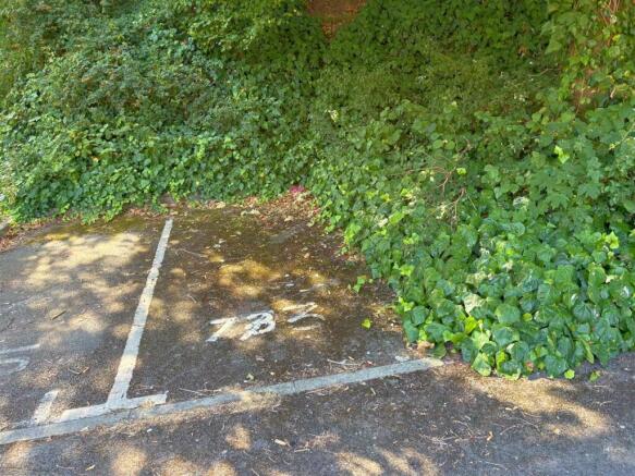 Allocated parking space.jpg