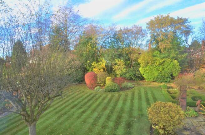 back garden 2.jpg
