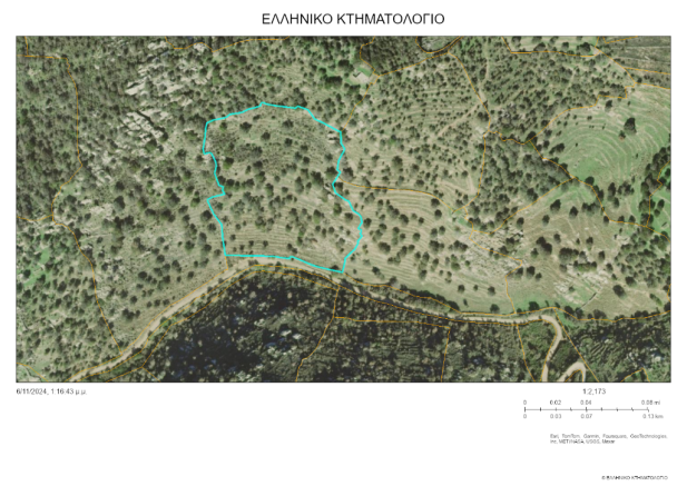 Vast 21 acres estate