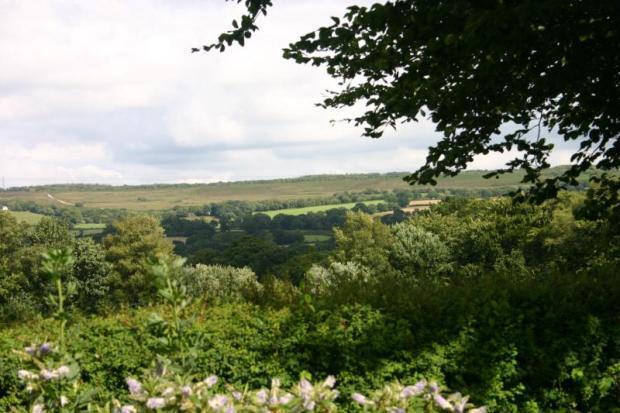Outlook