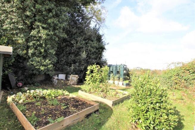 Generous Side Garden