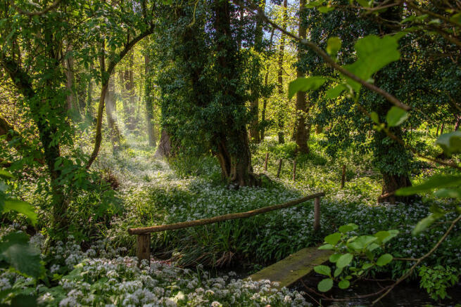Woodland
