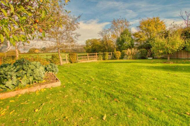 Garden at Side