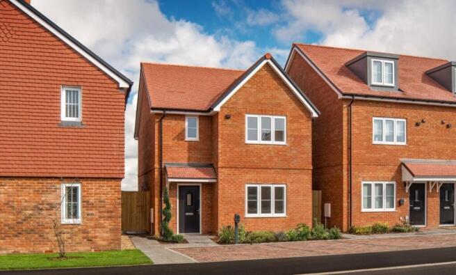 Dandara - Fortuna Fields - The Frogmore, Home 47