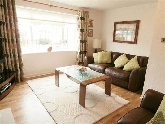 Photo2