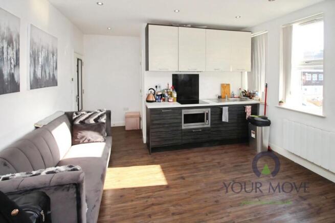 Lounge/Kitchen/Bedro