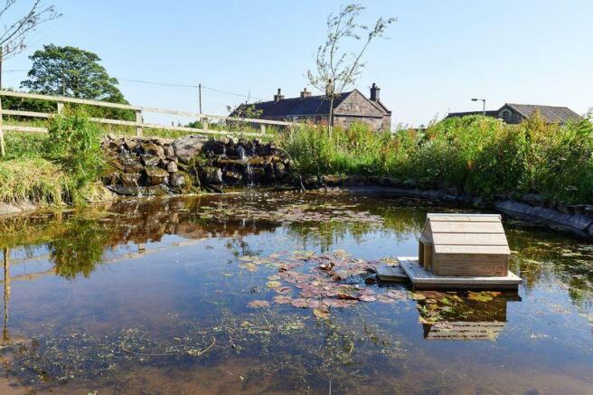 Pond & wat...
