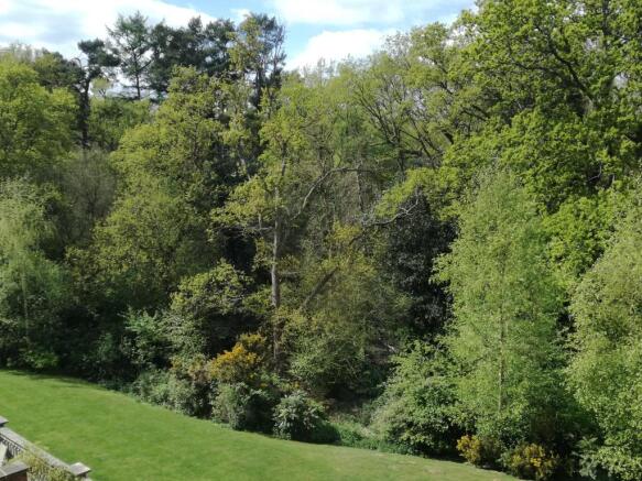 View over woodland