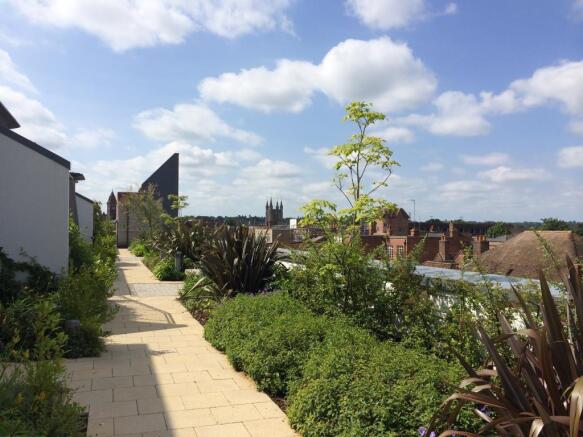 Roof Garden
