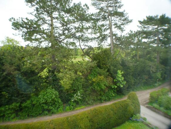 View  from Living Ro
