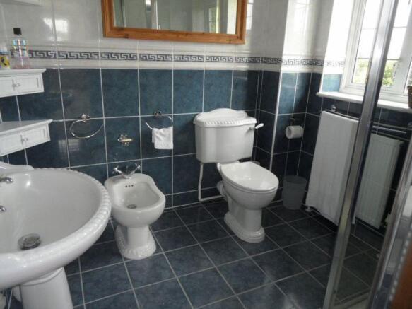 Photo 10