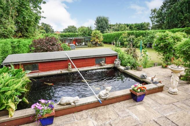 Pond