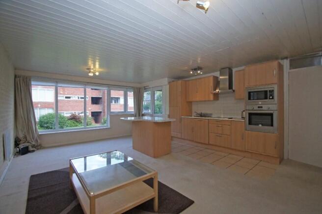 Living Room/Kitchen