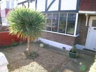 Front garden