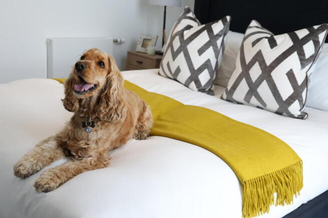 327A9195