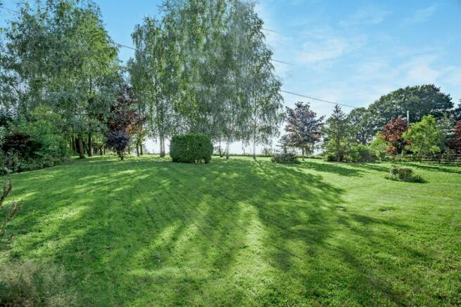 Lawn