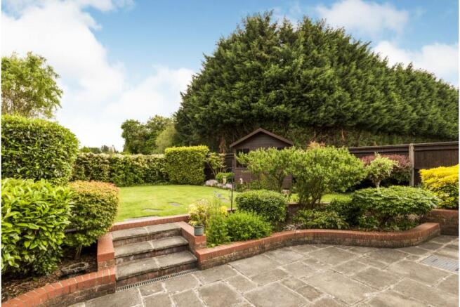 Mature Garden