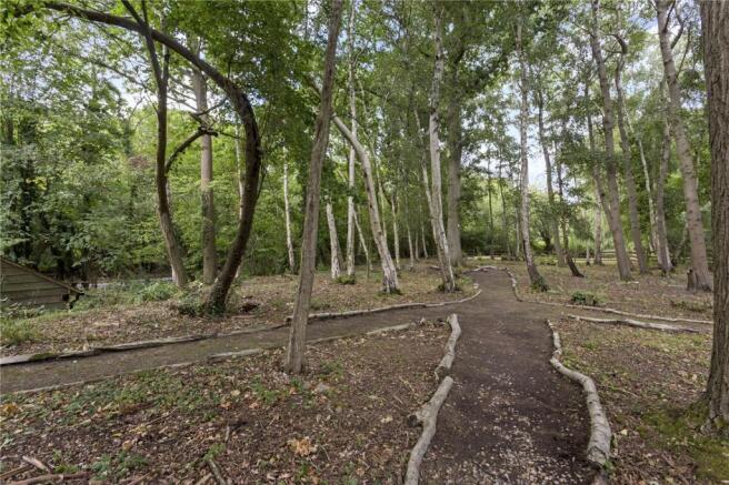 Woodland