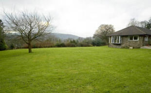 External