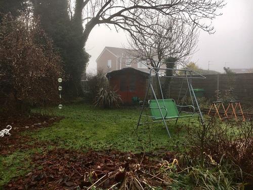 garden.jpg
