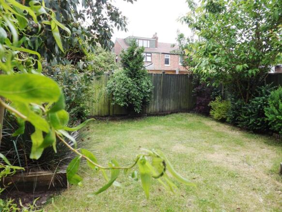 Garden with mature plants