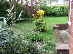 Side Garden