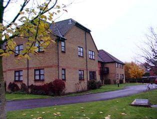 Willow Mead