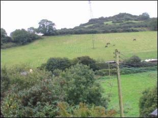 Countryside Views