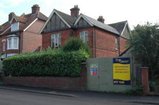 Auction Development