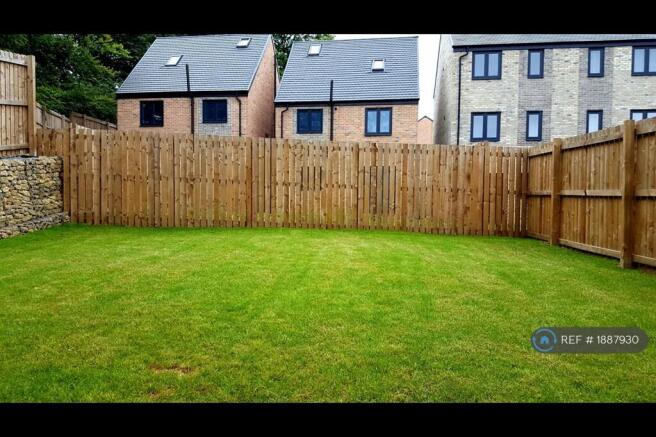 Back Garden
