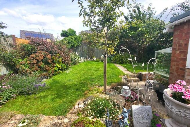 Garden (2) 