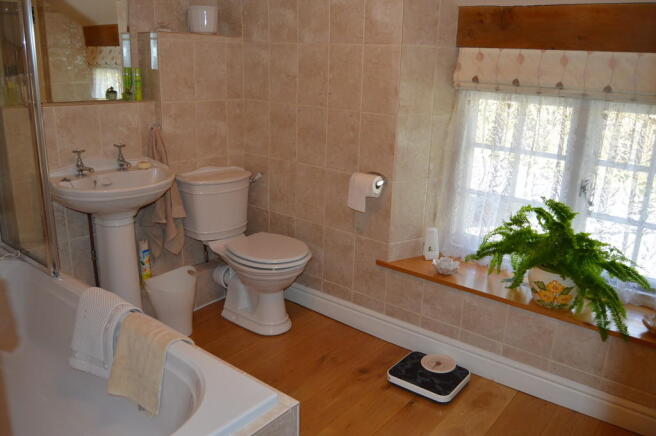 Photo 11