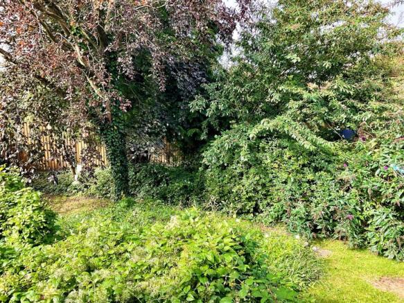 garden pic2.jpg